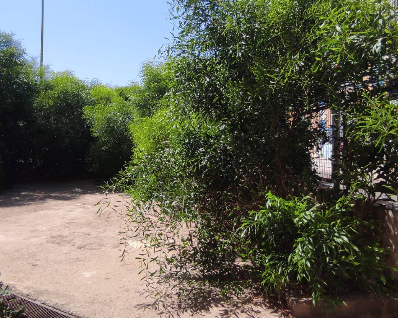 Apartamento - Segunda mano - Cartagena - TB 39-23