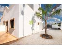 Nouvelles Constructions - Jumelé - Cox - Rue Dinamarca