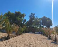 Resale - Villa - Los Desamparados - Orihuela