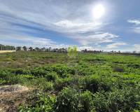 Revente - Terrain - Los Alcázares - Los Narejos