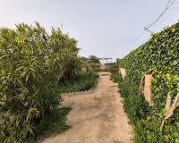 Revente - Villa - La Union - Roche Alto