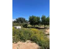 Segunda mano - Casa de Campo - El Mirador - Los Sáez de Tarquinales
