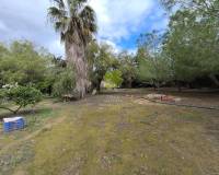 Segunda mano - Casa de Campo - Los Alcázares - Balsamora