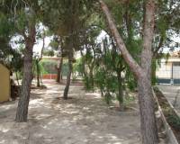 Segunda mano - Casa de Campo - Los Alcázares - Barrio de la Fuensanta