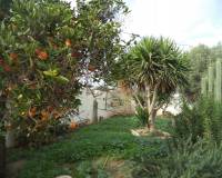 Segunda mano - Casa de Campo - Torre Pacheco - COUNTRY HOUSE