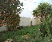 Segunda mano - Casa de Campo - Torre Pacheco - COUNTRY HOUSE