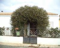 Segunda mano - Casa de Campo - Torre Pacheco