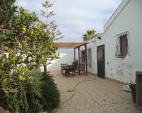 Segunda mano - Casa de Campo - Torre Pacheco