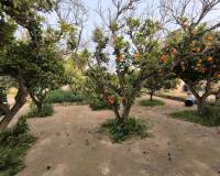 Segunda mano - Chalet - La Union - Roche Alto