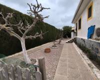 Segunda mano - Chalet - Los Alcázares - Los Narejos