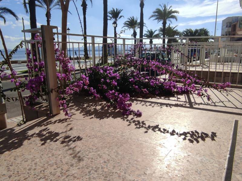Appartement - Revente - Los Alcazares - Los Alcazares